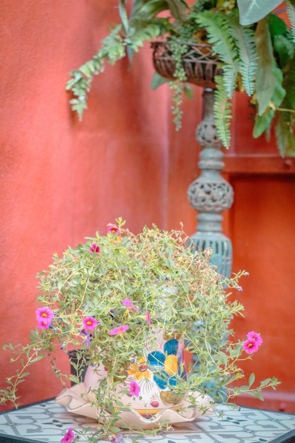 Flatguest Casa Del Sol - Terrace - Parking Βίλα Λας Πάλμας ντε Γκραν Κανάρια Εξωτερικό φωτογραφία